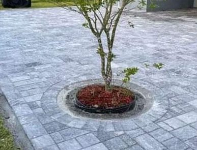 souza servicesllc 12